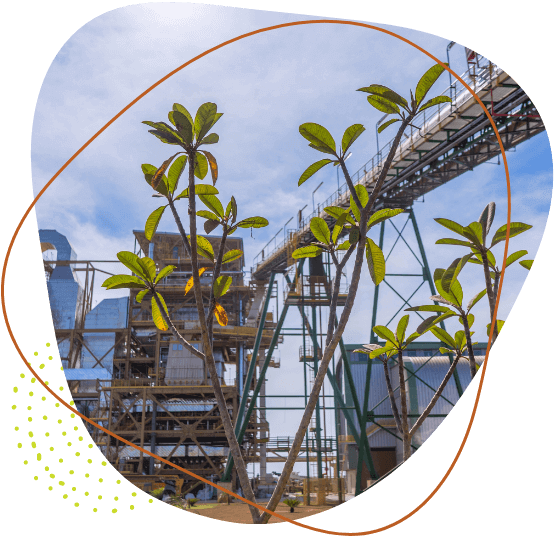 En 2021 iniciamos la operación de la central termoeléctrica Onça Pintada, construida dentro del complejo industrial de Eldorado Brasil, en Três Lagoas (Mato Grosso do Sul). La central es un referente en el sector de la celulosa, por su singularidad y sus resultados a favor de la sostenibilidad. Tecnologías propias, desarrolladas por nuestros ingenieros y diseñadores, hicieron posible el uso de biomasa procedente de tocones y raíces de eucalipto y de residuos de madera para producir energía verde y renovable. Con la operación de la central, nos convertimos en la única empresa de celulosa del país que consume el 100 % del eucalipto en su cadena productiva, de acuerdo con la lógica de la economía circular, además de eliminar todos los residuos del eucalipto. La energía generada por la central termoeléctrica se envía al sistema eléctrico nacional, con lo cual se generan ingresos para la empresa y se contribuye a que la matriz energética brasileña sea más limpia.