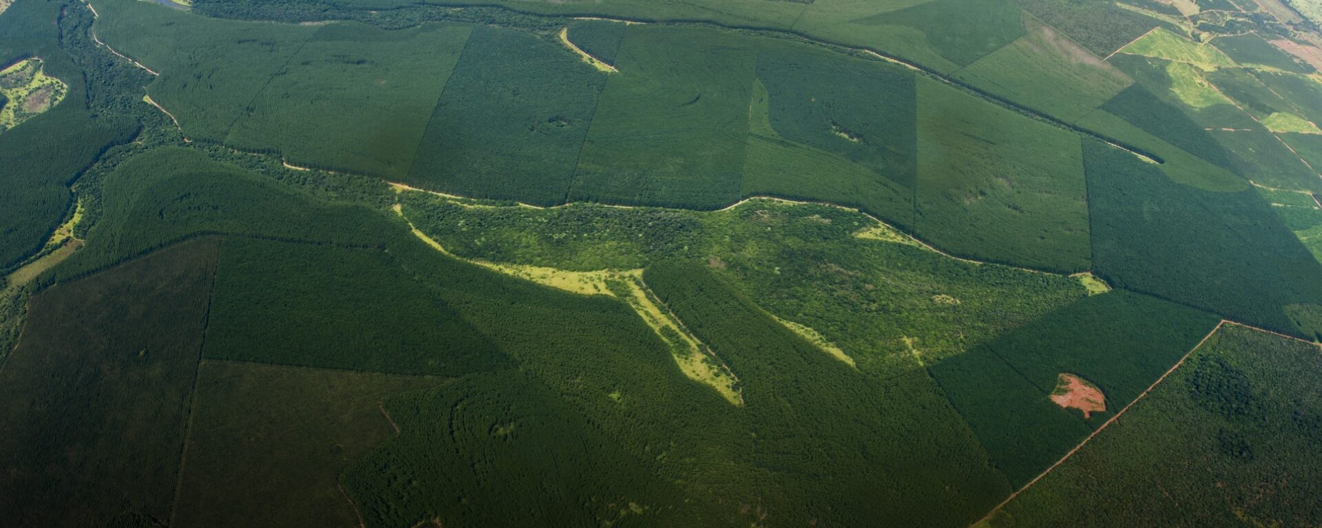 Eldorado Brasil sigue creciendo para satisfacer la demanda mundial de celulosa, guiada por cuatro pilares estratégicos: competitividad, sostenibilidad, innovación y valoración de las personas.
Fomentamos la innovación internamente, invertimos en tecnología de punta y mejoramos nuestros procesos cada día para garantizar una mayor eficiencia a la operación y asegurar el uso racional y responsable de los recursos naturales, en línea con nuestros compromisos medioambientales. Detrás de todos esos esfuerzos está nuestro equipo, siempre decidido a superar los desafíos.